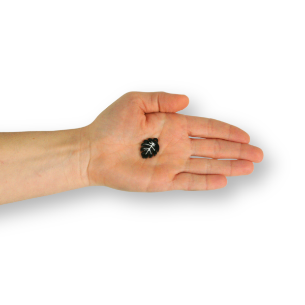 3er Pack Anhänger "Pflanze"