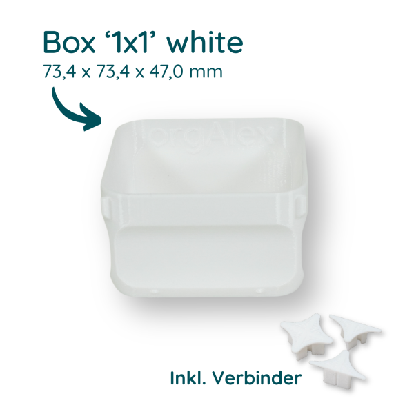 orgAlex Box '1 x 1'