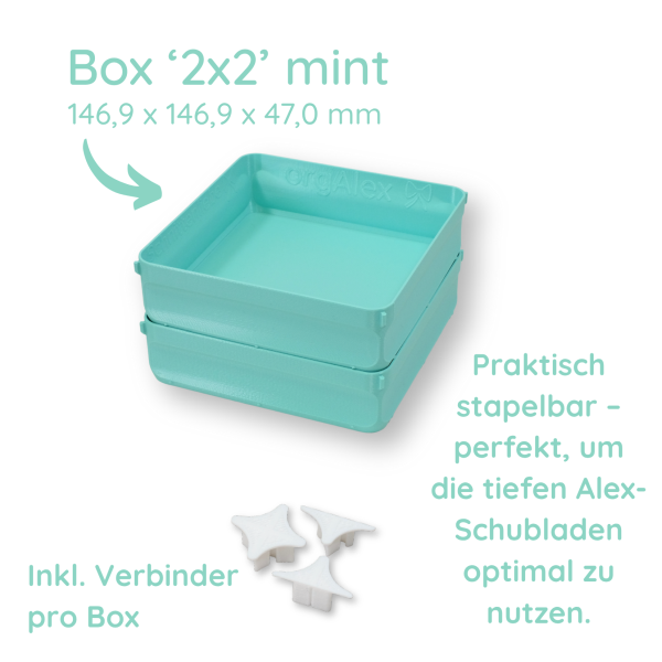 orgAlex Box '2 x 2'