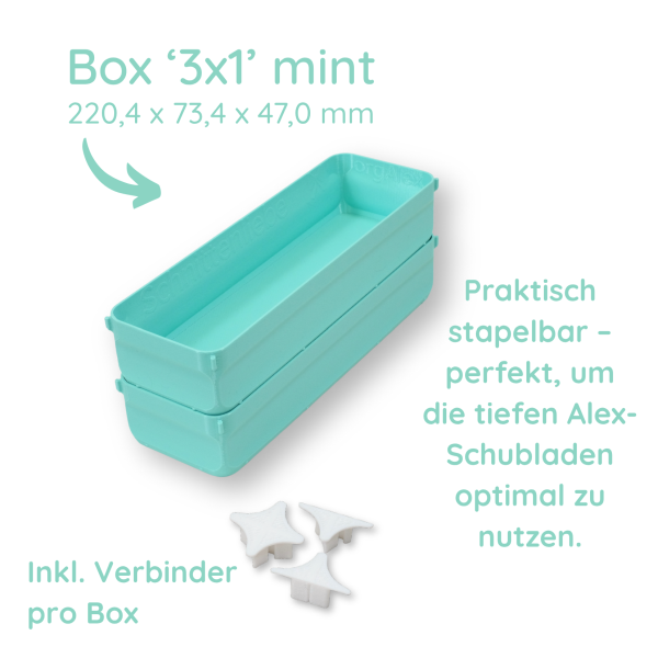 orgAlex Box '3 x 1'