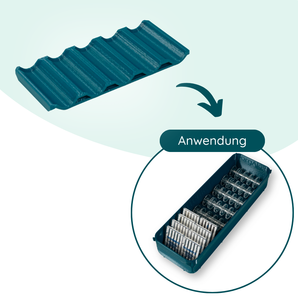 orgAlex Spuleneinlage