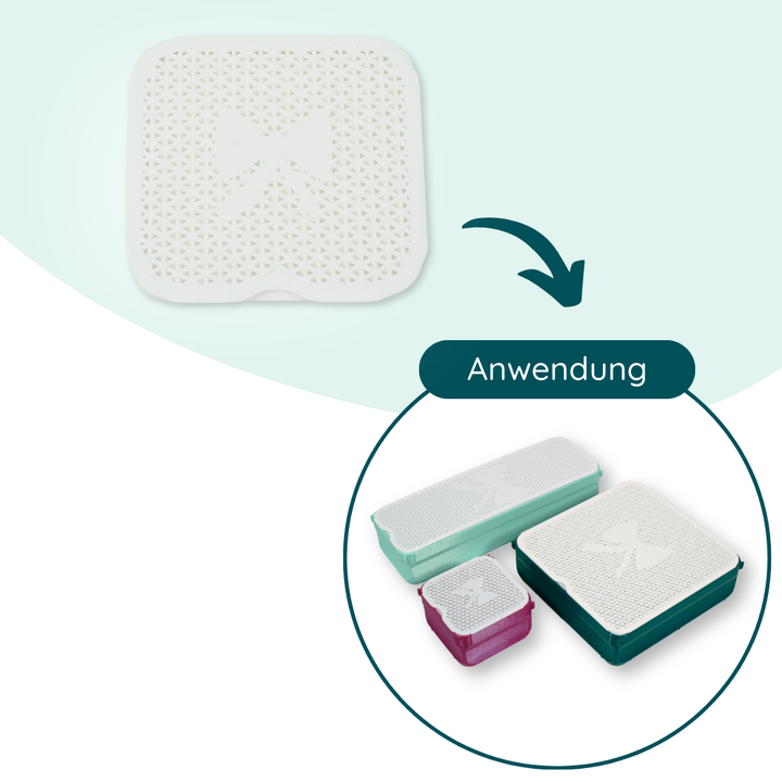 orgAlex Transportdeckel